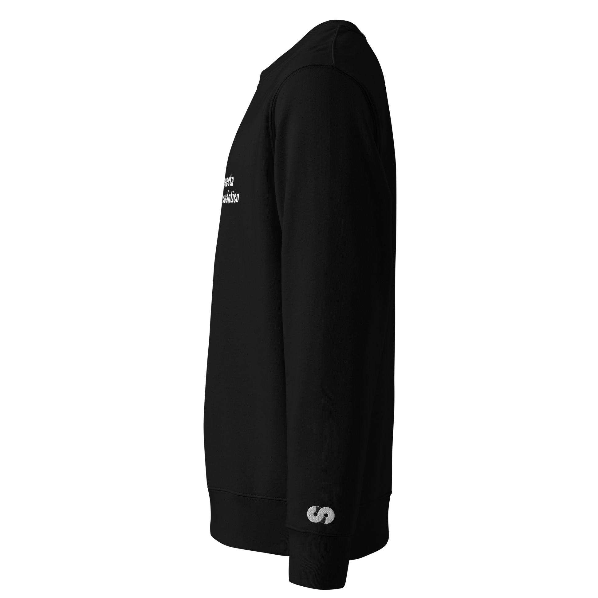 Perfil lateral derecho de Sudadera Eco VOOM — Quantum Field Connection negra con letra bordada en la manga derecha